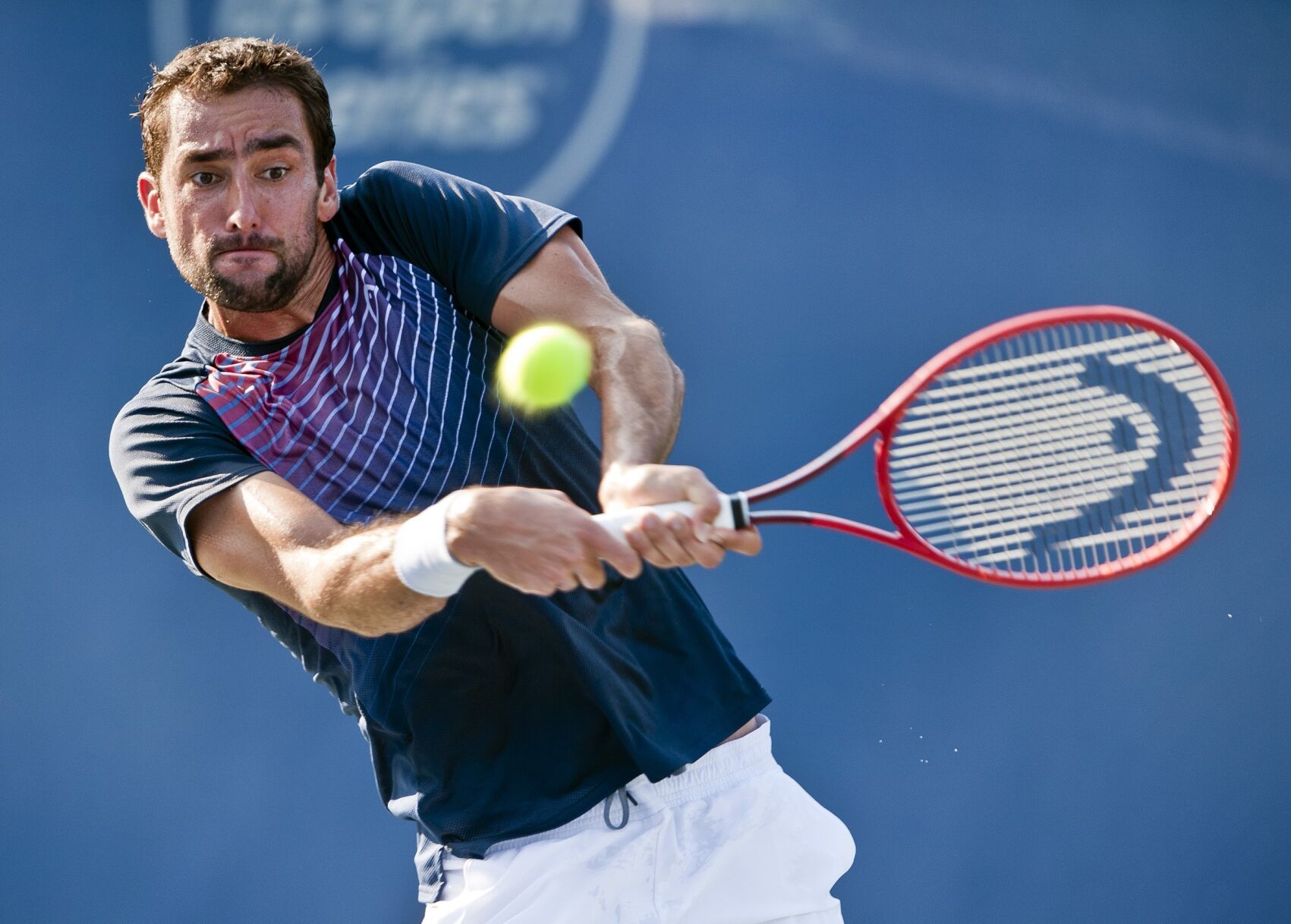 Winston-Salem Open Tuesday